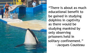 An Orca named Lolita - Part 5 - Why won't they let her go?
