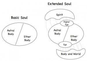 Thus the soul has two extensions, the ego and super ego. The first is ...