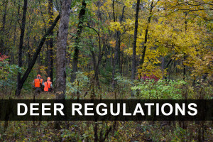 ... Quotes For Men Deer hunting - the most popular hunting season in