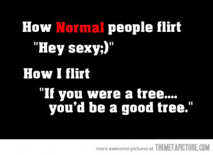Funny Flirty Quotes Image - Funny -how-to- flirt - quote