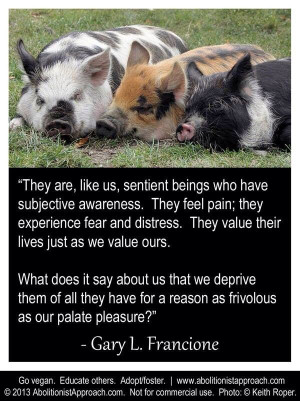 Found on Uploaded by user