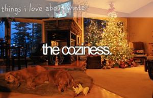 christmas, cold, coziness, cozy, cute, fashion, gifts, home, lights ...