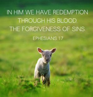 In Him we have redemption through His blood, the forgiveness of sins ...