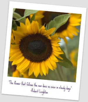 Found on flowermag.com