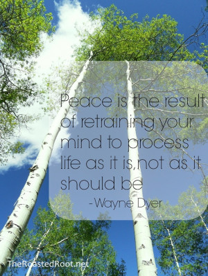 ... mind to process life as it is, not as it should be.” – Wayne Dyer