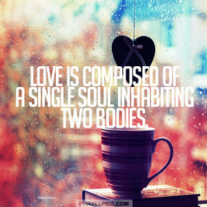 Single Soul Inhabiting Two Bodies Quote Picture