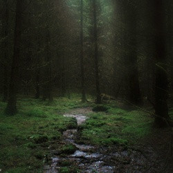 Found on greatest-pictures-on-earth.tumblr.com