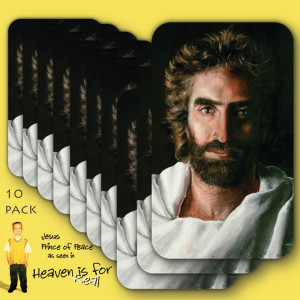prince of peace by akiane kramarik wallet card 10 pack