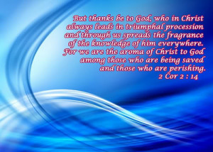 Bible verse - god-the-creator Photo