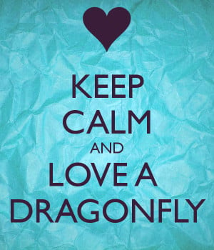... dragonfly love dragonfly love beaded dragonfly i love dragonfly love