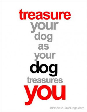 Cute Dog Lover Quotes Available here at Rover99 com