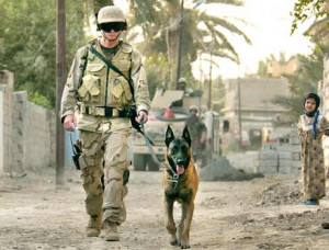 military_dogs