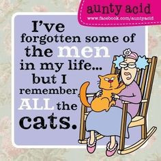 Cat quotes. #cat #humor #cats #funny #quotes #meme #lolcats #cute ...