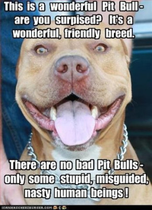 No bad pit bulls!