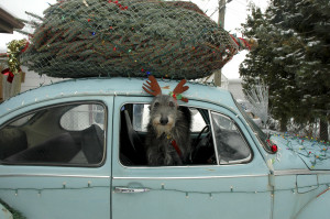 December Quotes Winter Quotes Today's quote: don't cry,