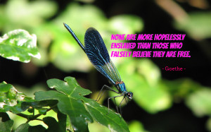 None are more hopelessly enslaved... quote wallpaper