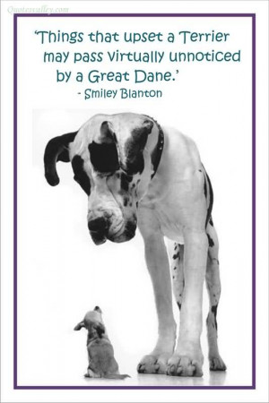 ... That Upset A Terrier May Pass Virtually Unnoticed By A Great Dane