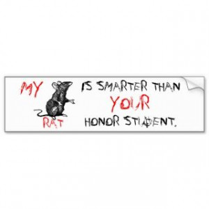 My Border Collie Is Smarter Than Your Honor Studen Bumper Stickers