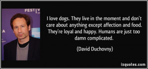 love dogs. They live in the moment and don't care about anything ...