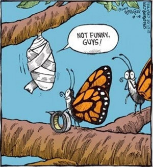 Funny Butterflies Cartoon Joke Picture - Not funny guys