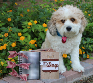 Meet Jasmine! She is our little fur ball and she was pretty excited to ...