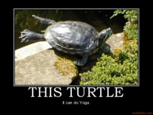 this-turtle-turtle-yoga-demotivational-poster-1268474379.jpg