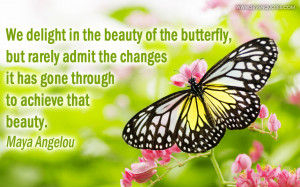 delight in the beauty of the butterfly, but rarely admit the changes ...