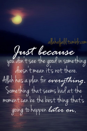 ... Quotes & Reminders — allahaljalil.tumblr.com Trust Allah (swt