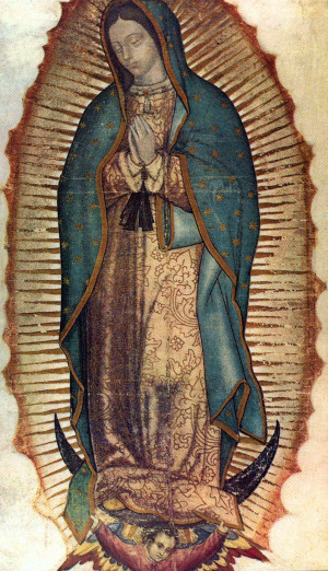 Our Lady of Guadalupe Gallery