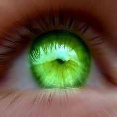 Green Eyes Quotes Sayings Picture quotes about green