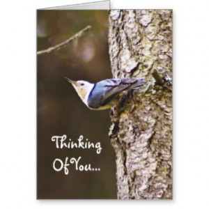 Thinking Of You Woodpecker Card