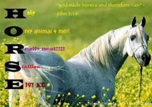 ... to write about today, so I am going to share some quotes and verses