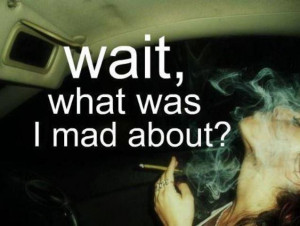 This is why i love Weed