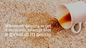 whenever you try to get a stain out, always blot it (press at it ...