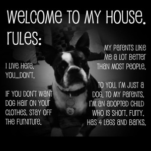 House Rules of Jessica the Boston Terrier