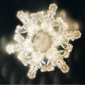 Masaru Emoto Messages From Water