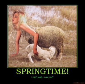 Top 10 Funny Demotivational Posters Feauring Animals, funny ...