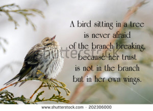 Inspirational quote on life with a pine siskin bird perched on a ...