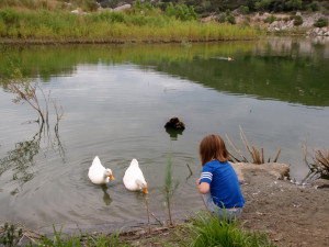 Funny Quotes Contact Dmca