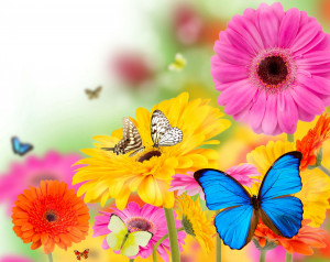 Spring Flowers And Butterflies Wallpaper (13)