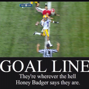 Honey Badger don't care