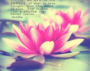 Buddha Lotus Flower Quote Lotus flower quote via www