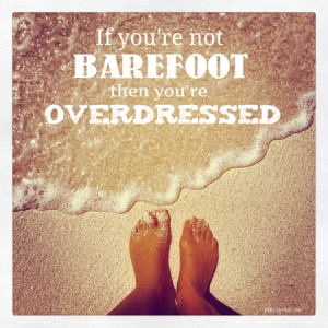 If you’re not barefoot, then you’re overdressed” – Prickly ...