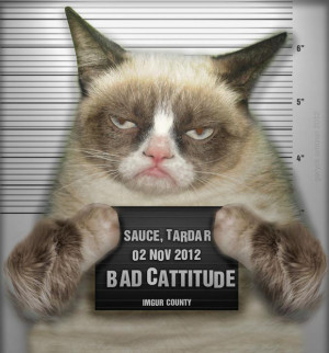 case in point tardar sauce a k a grumpy cat