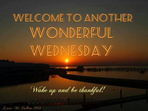 Welcome to Another Wonderful WEDNESDAY ...