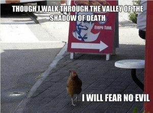 ... walk through the valley of the shadow of death, I will fear no evil