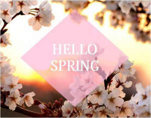 flowers, hello spring, pink