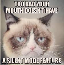 Grumpy cat quotes, funny grumpy cat, grumpy cat meme, funny grumpy cat ...