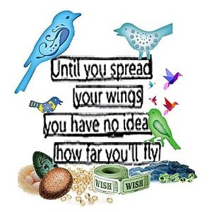 ... your wings and fly quote text birds eggs colorful inspirational words