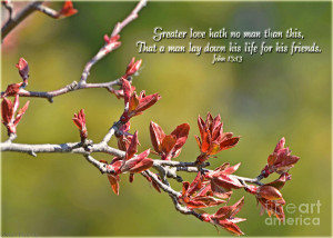 Spring Leaves Greeting Card With Verse Photograph
